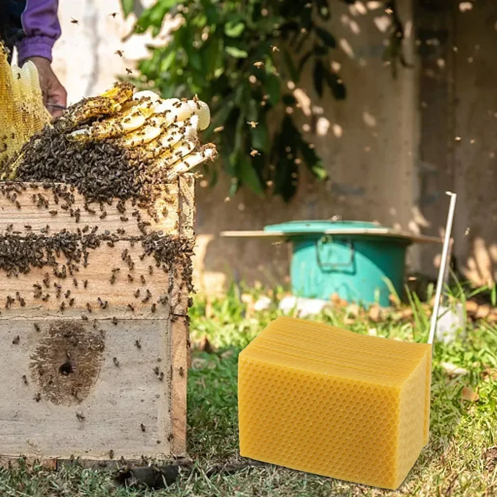 Fournitures pour ruche, fond d - Candle Supplies Beeswax avis et prix
